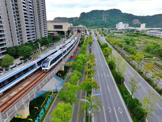 温州大道 苏巧将 摄