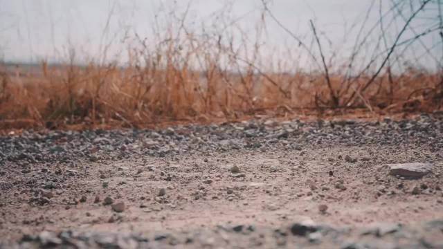 拉莫斯加盟达西亚车队，丰田再失大将