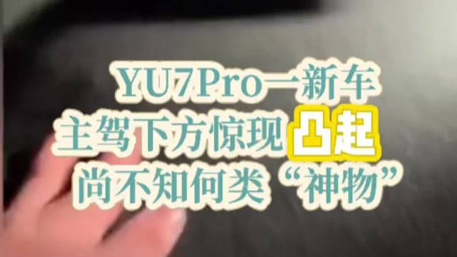 YU7Pro一新车主驾下方惊现突起，尚不知何类“神物”