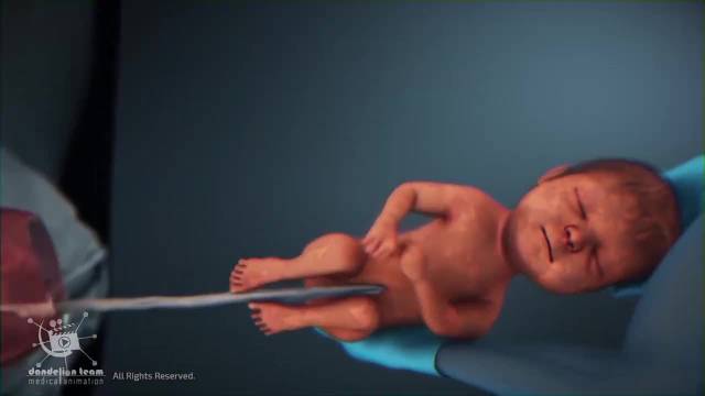 新生儿首次拥抱开启生命联结