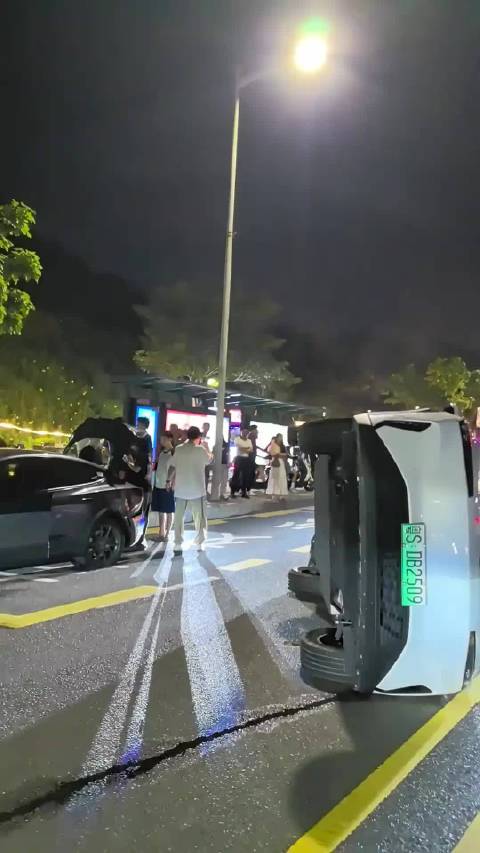特斯拉旁双飞燕翻车无人关注