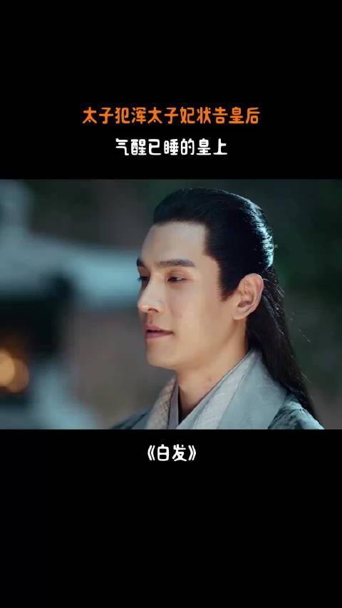 白发：太子犯浑太子妃状告皇后，气醒已睡的皇上， 罗云熙 张雪迎 李治廷 经超