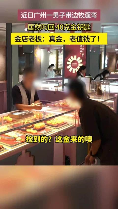 广州边牧遛弯叼回40克纯金钥匙，主人全网寻失主