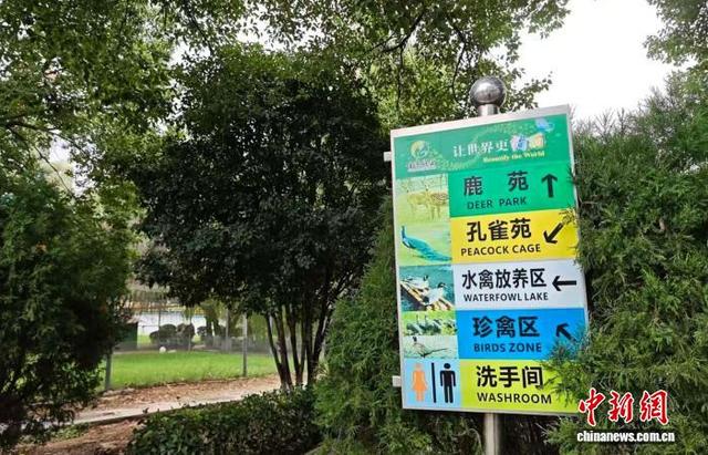 金东纸业厂区里“藏”着一个“动物园”。孙权 摄