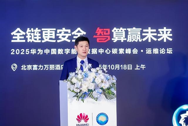 华为中国数字能源数据中心能源拓展部部长 石忆