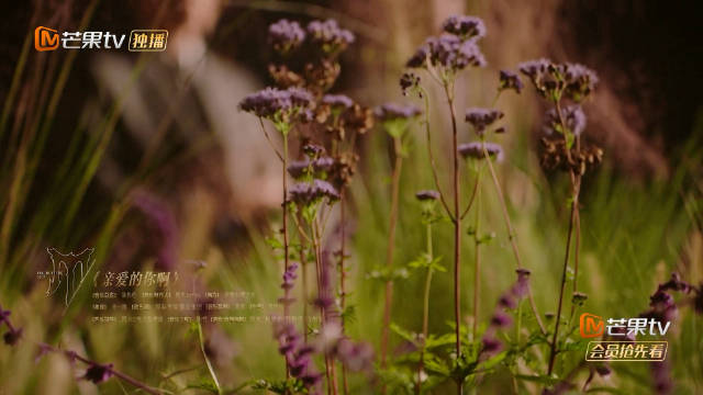 披哥五季大合唱舞台重现火车站台，齐思钧诠释离别与启程