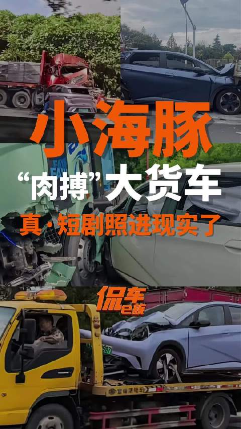 小海豚“肉搏”大货车，真·短剧照进现实了…比亚迪