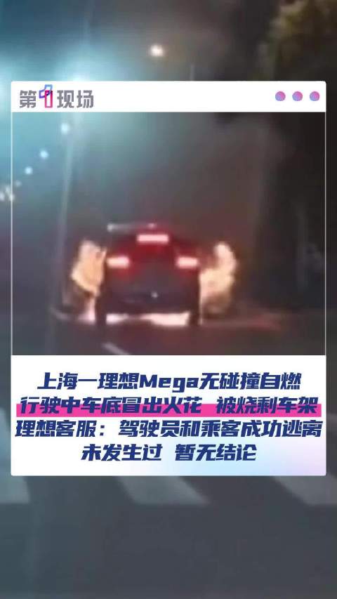 上海一理想MEGA路上爆燃驾乘火线逃生