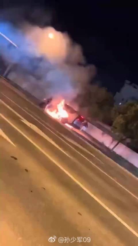 理想MEGA着火疑因底盘磕碰，车主曾无视故障码继续行驶