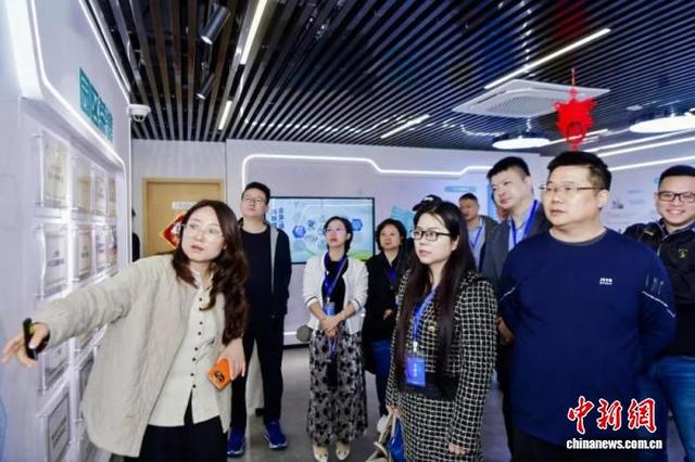 活动现场。 主办方供图