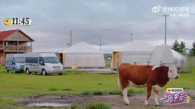 影后选领队张柏芝胜出，何赛飞首餐急脾气上线