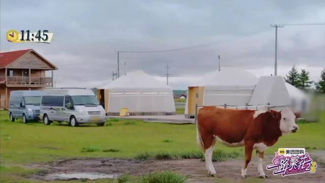 张柏芝因行李迟到何赛飞急脾气爆发，一路繁花2首聚引热议