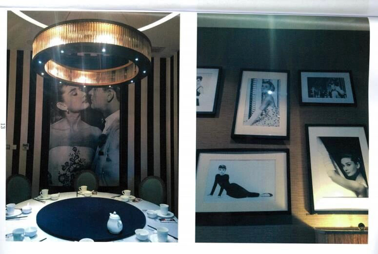 奥黛丽•赫本之子在中国胜诉