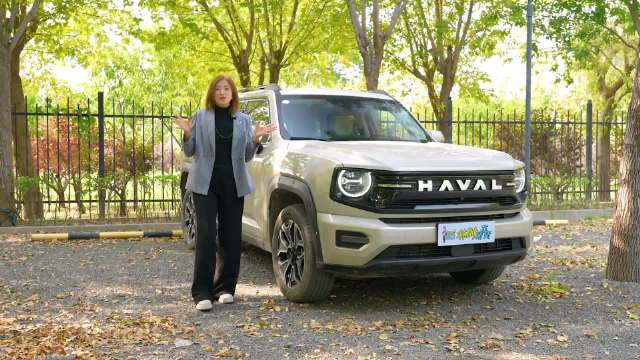 哈弗大狗PLUS升级上市，配置全面增强