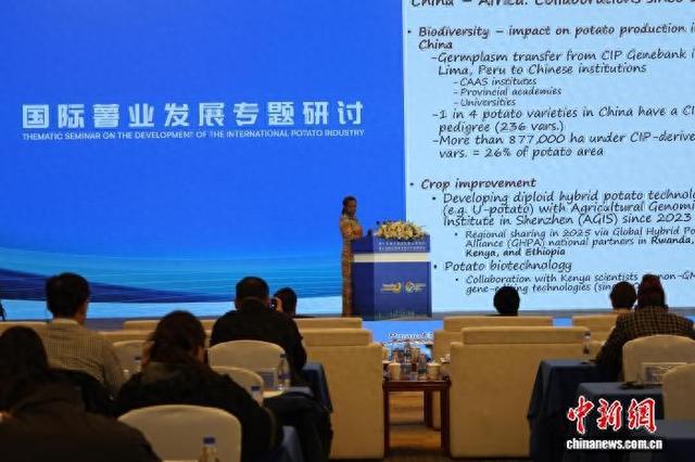 第十五届中国国际薯业博览会、第三届潍坊国际食品农产品博览会27日在潍坊开幕。孙婷婷 摄