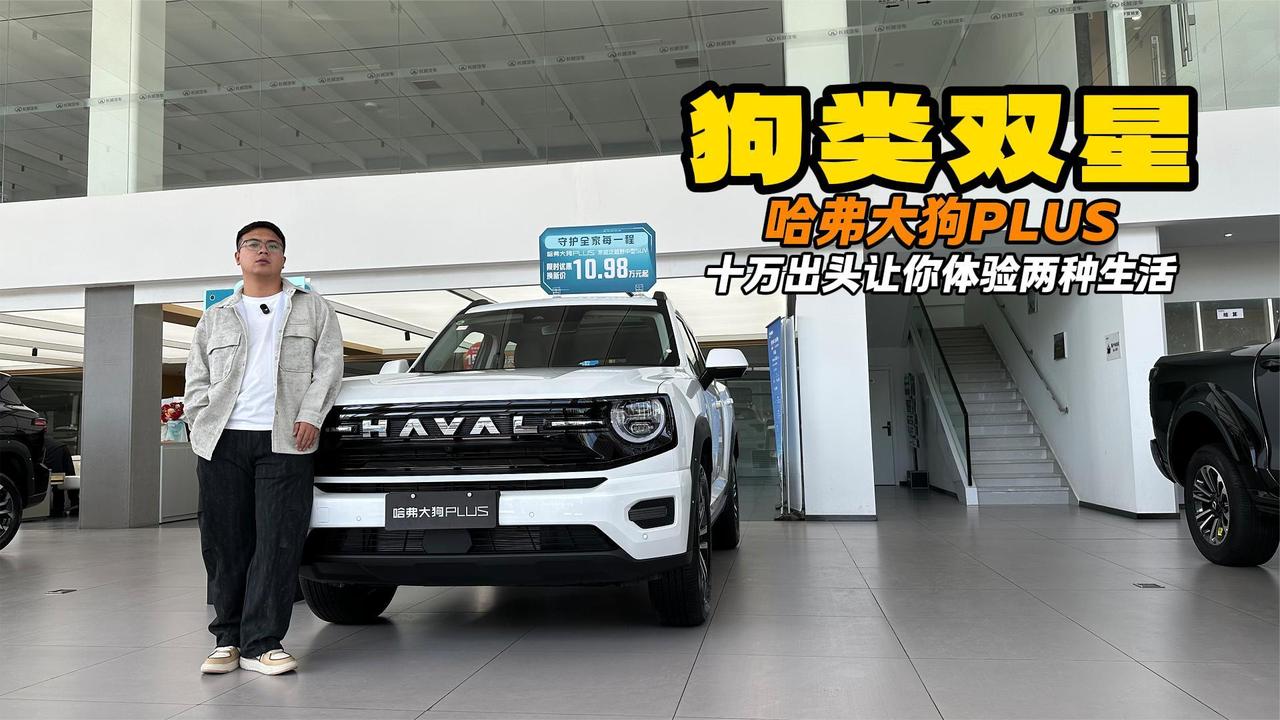 长城狗品类双子星 哈弗大狗PLUS 10.98万带给你全新体验