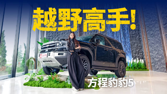 真正的可城可野！25万级越野全能王方程豹豹5！