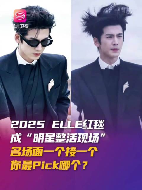 2025ELLE风尚大典深圳举行，张凌赫海胆头沈佳润迷路引热议