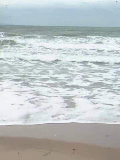 王珞丹穿花朵编织高定亮相ELLE大典