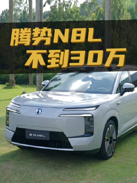 腾势N8L，价格不到30万，安全神车！