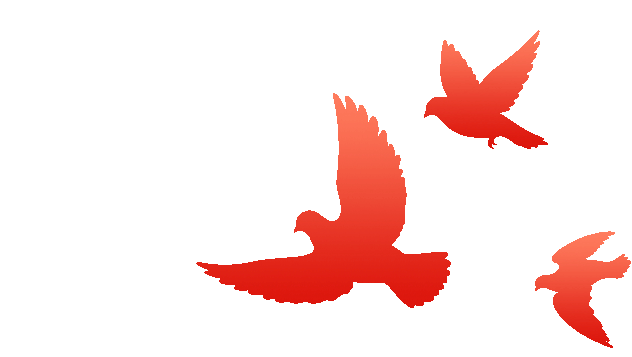 ※ 来源：海西晨报