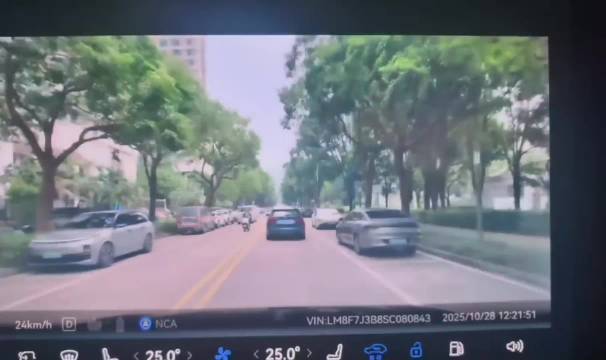 问界M9车主下地库误踩油门差点撞升降杆 小艺：请抬脚！