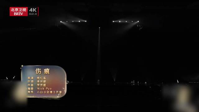 林忆莲情歌串烧演绎勇敢与脆弱