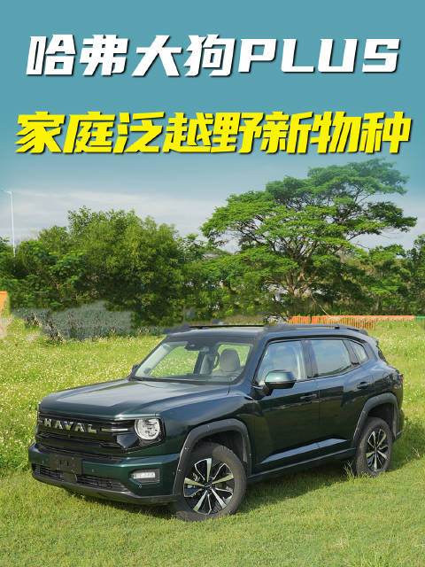 哈弗大狗PLUS，家庭泛越野新物种