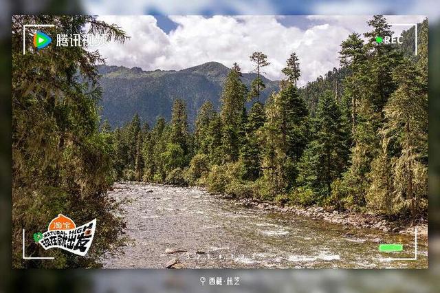 海报。节目组供图