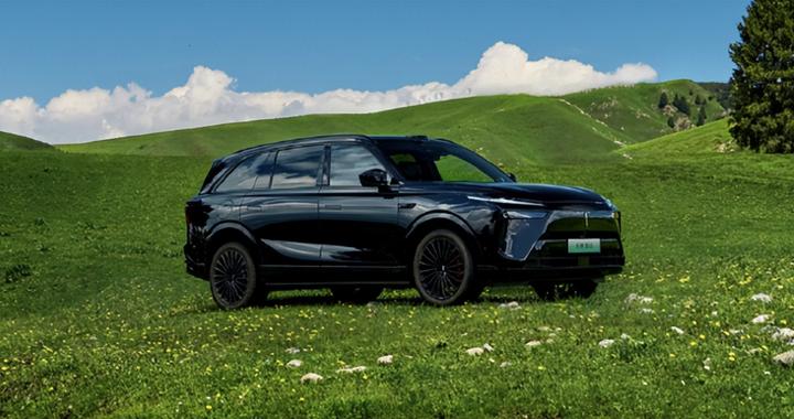 魏牌蓝山受消费者认可，重塑家庭出行的舒适与便捷体验