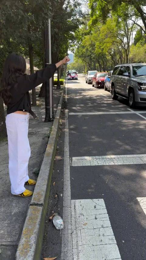 世界上最贵的出租车？