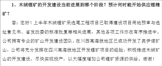 扭亏昙花一现，盛新锂能多项偿债能力指标亮红灯