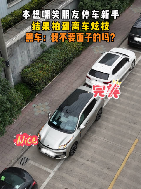 现在停车都这么潇洒的吗？