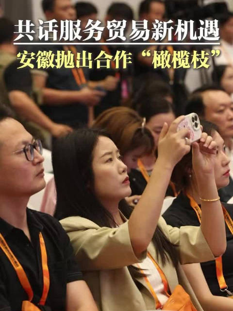 安徽合肥服务业推介会亮相服贸会,聚焦开放合作新机遇