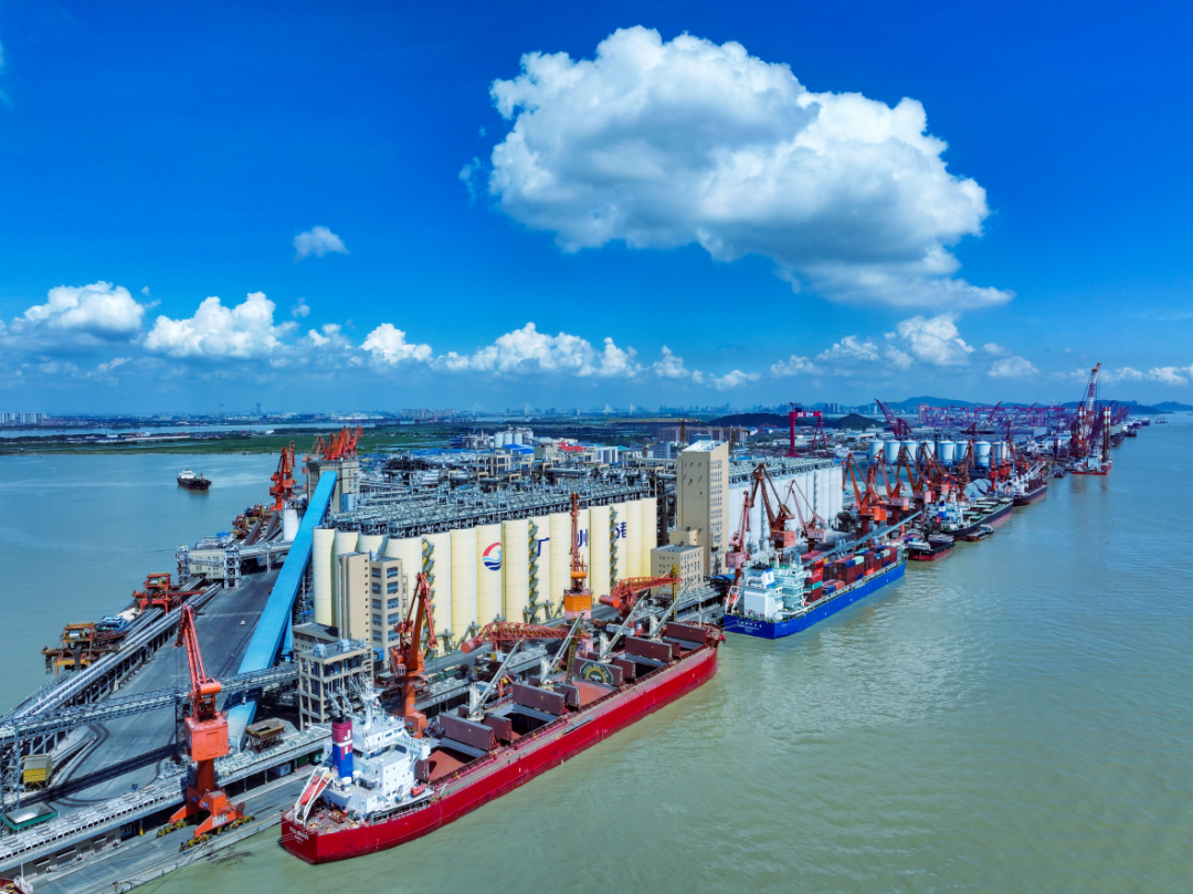 广州港南沙粮食通用码头，是北粮南运的重要枢纽之一