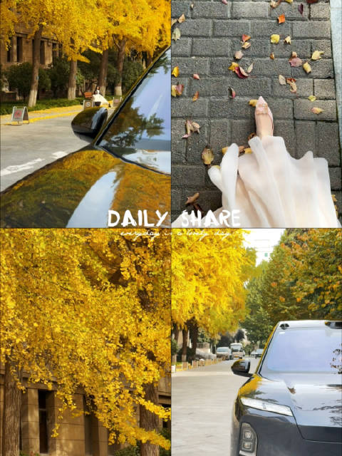 后知后觉，又过了一个秋