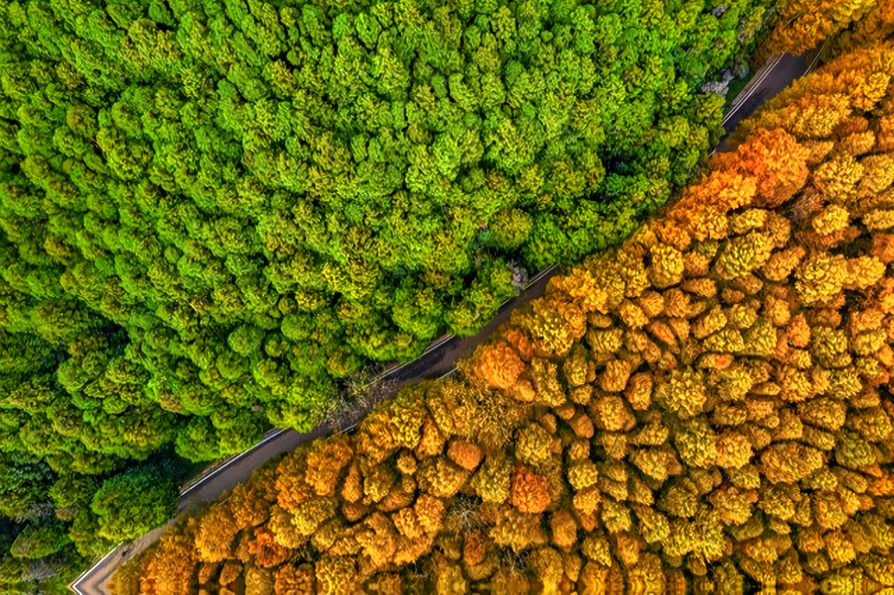 2025 秘境漫游指南