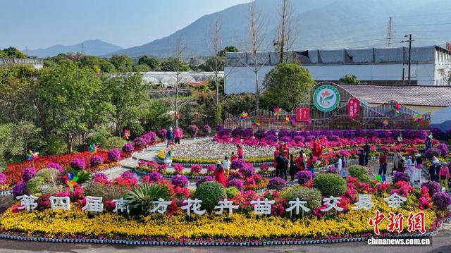 图为设在桂林市叠彩区“缤纷叠彩”广西现代特色林业示范区的第四届南方花卉苗木交易会主会场。(无人机照片)杨宗盛 摄