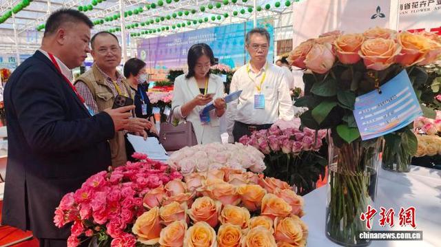 图为第四届南方花卉苗木交易会主会场，评委为云南展区的鲜切玫瑰花打分。欧惠兰 摄