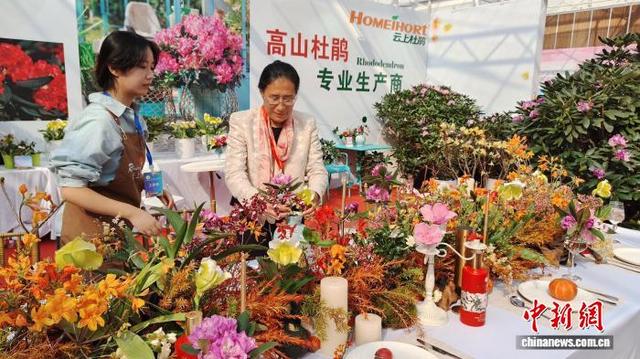 图为第四届南方花卉苗木交易会主会场，贵州展区的高山杜鹃、兜兰长桌花卉家庭园艺展示。欧惠兰 摄