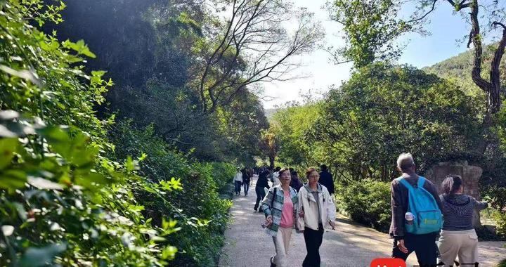 看周传雄、苏有朋演唱会还能半价游镇江！四大景区福利上线，观演 + 游玩双重嗨