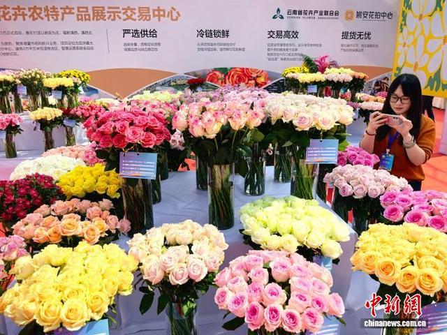 图为第四届南方花卉苗木交易会主会场，云南展区的鲜切玫瑰花。李腾钊 摄