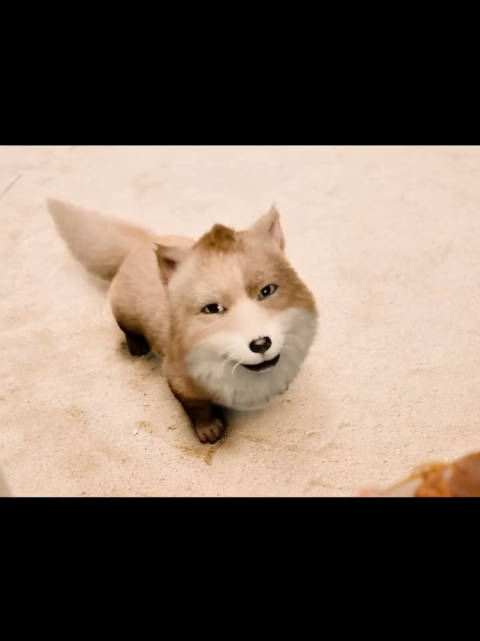 成毅饰演王权富贵买肉喂沙狐