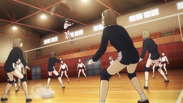 感觉自己在看排球少女 二次元招新季间谍过家家