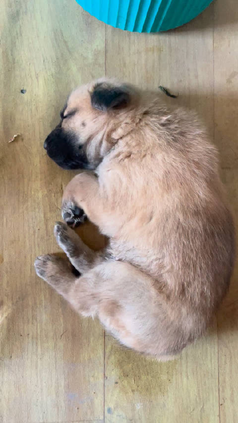 那又如何？ 影响是部好片吗？