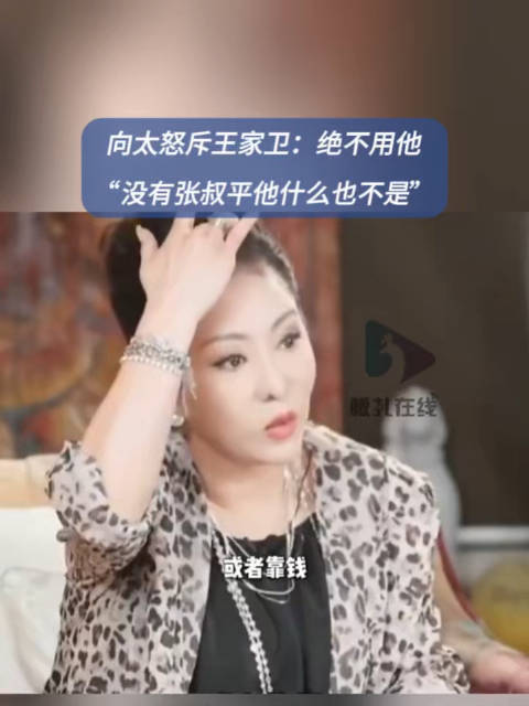 向太谈王家卫近日录音争议传闻