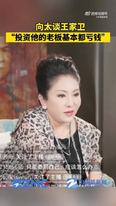 向太说投资王家卫的老板基本都亏钱