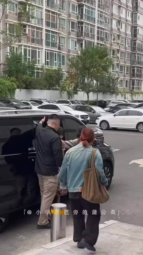 明星是不是都爱GL8或埃尔法？