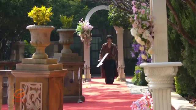 魏晨携大侦探十周年闪耀亮相红毯