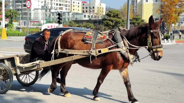 经典敞篷，全时四驱，百公里只需一捆草！